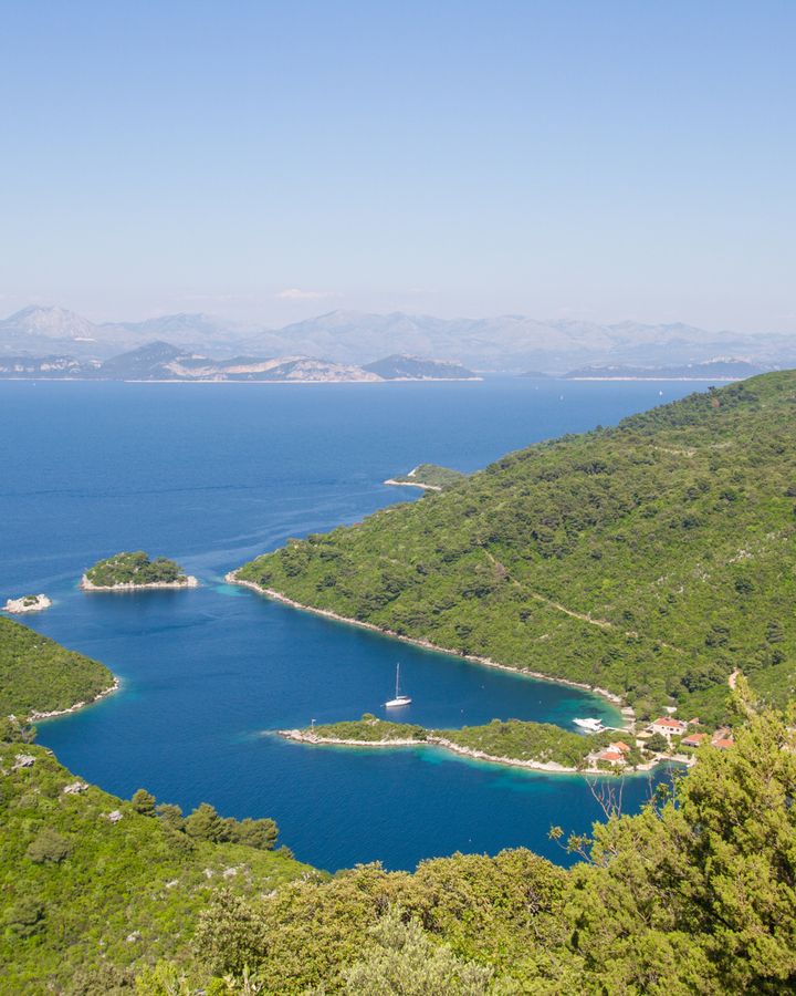 A glimpse of mystery island 4, name under wraps